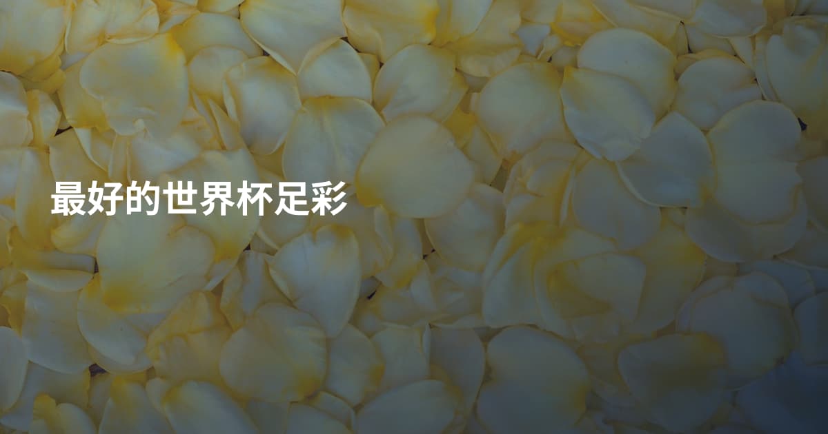 最好的世界杯足彩