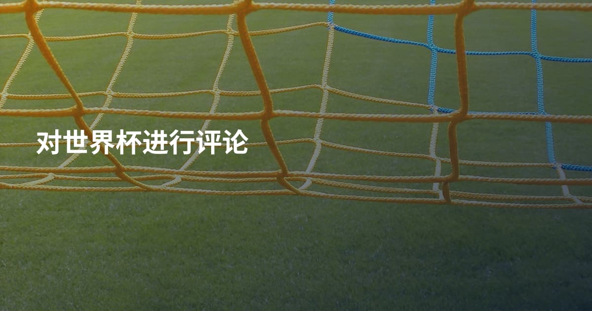 对世界杯进行评论