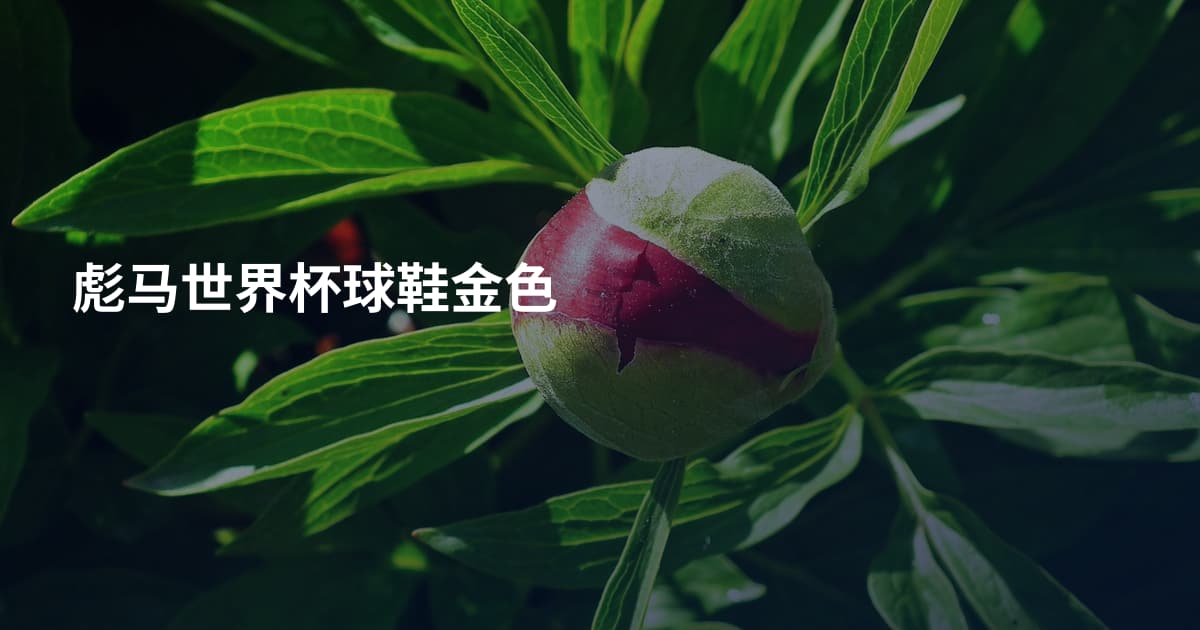 彪马世界杯球鞋金色