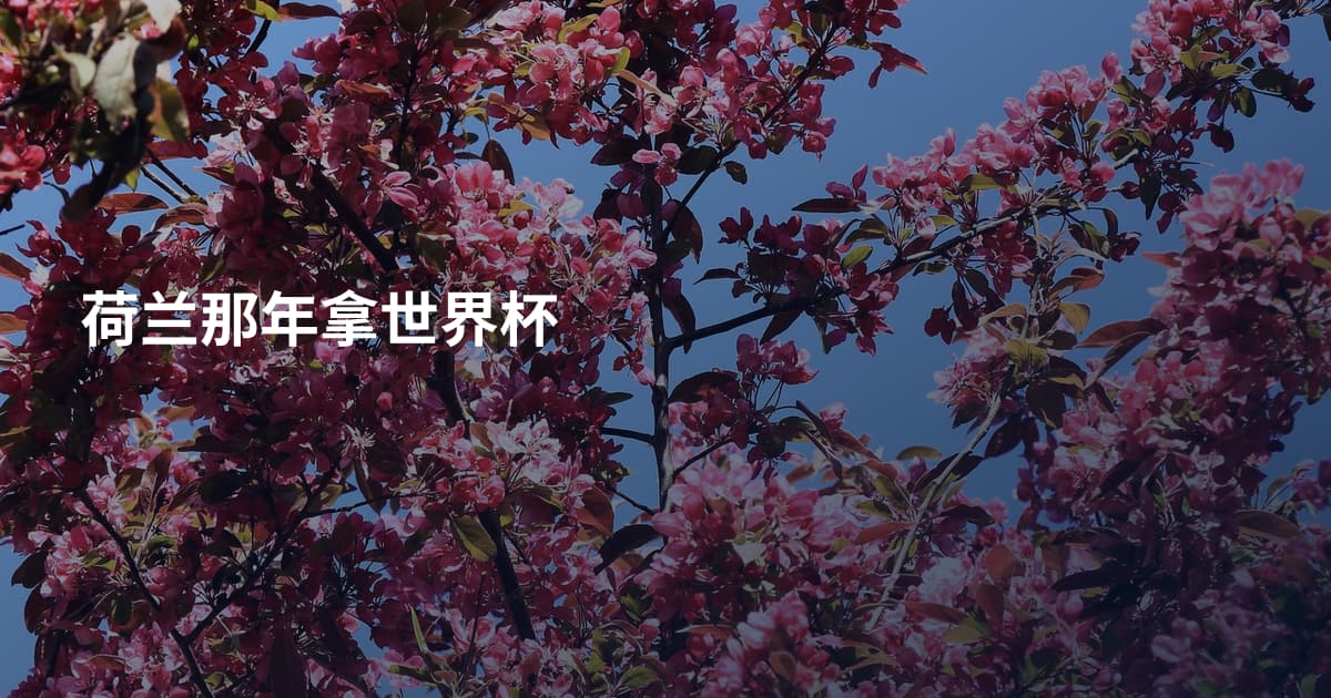 荷兰那年拿世界杯