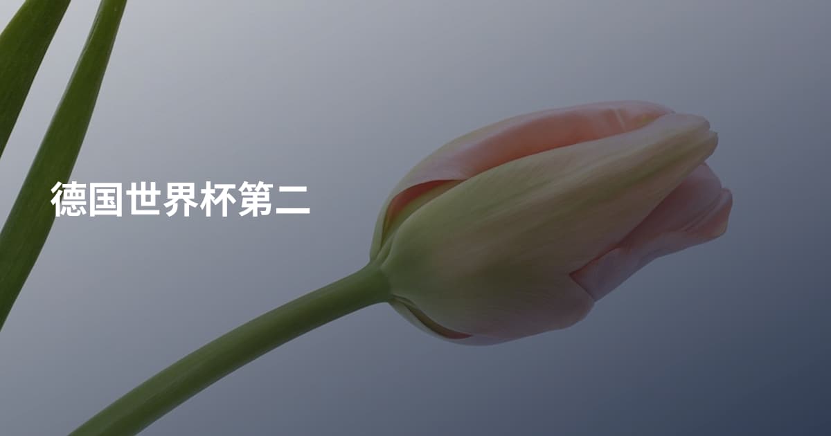 德国世界杯第二