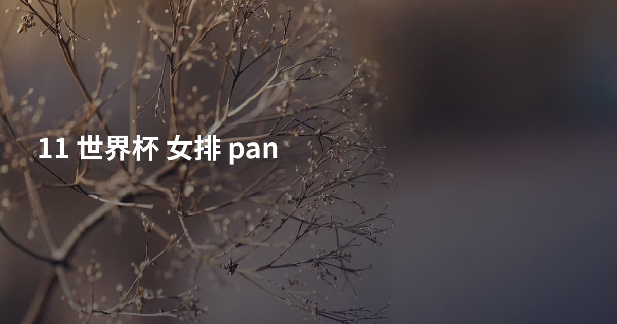 11 世界杯 女排 pan