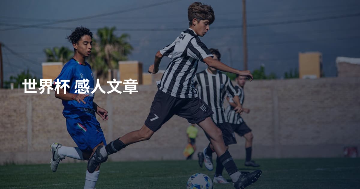 世界杯 感人文章