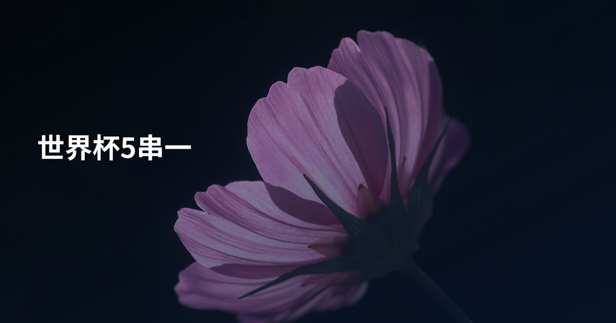 世界杯5串一