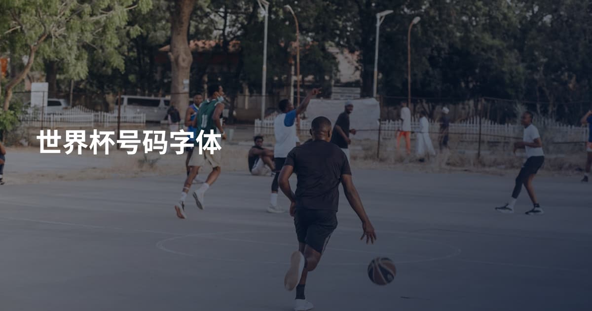 世界杯号码字体