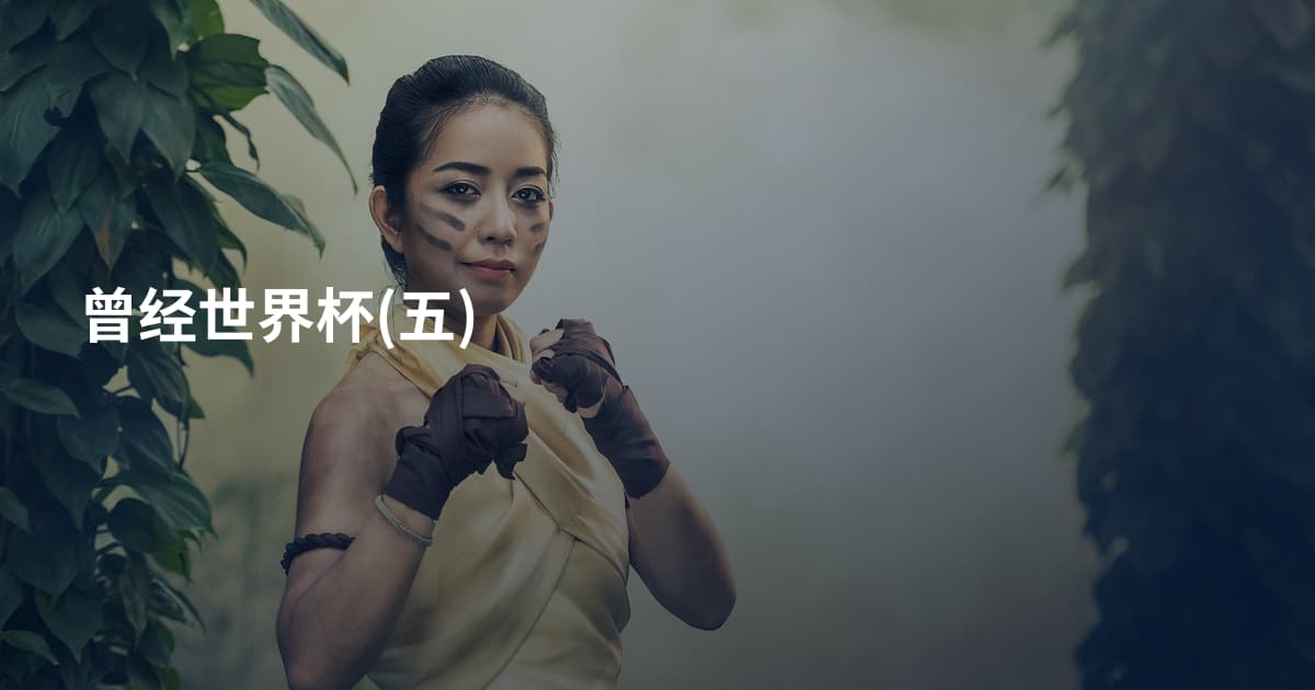 曾经世界杯(五)