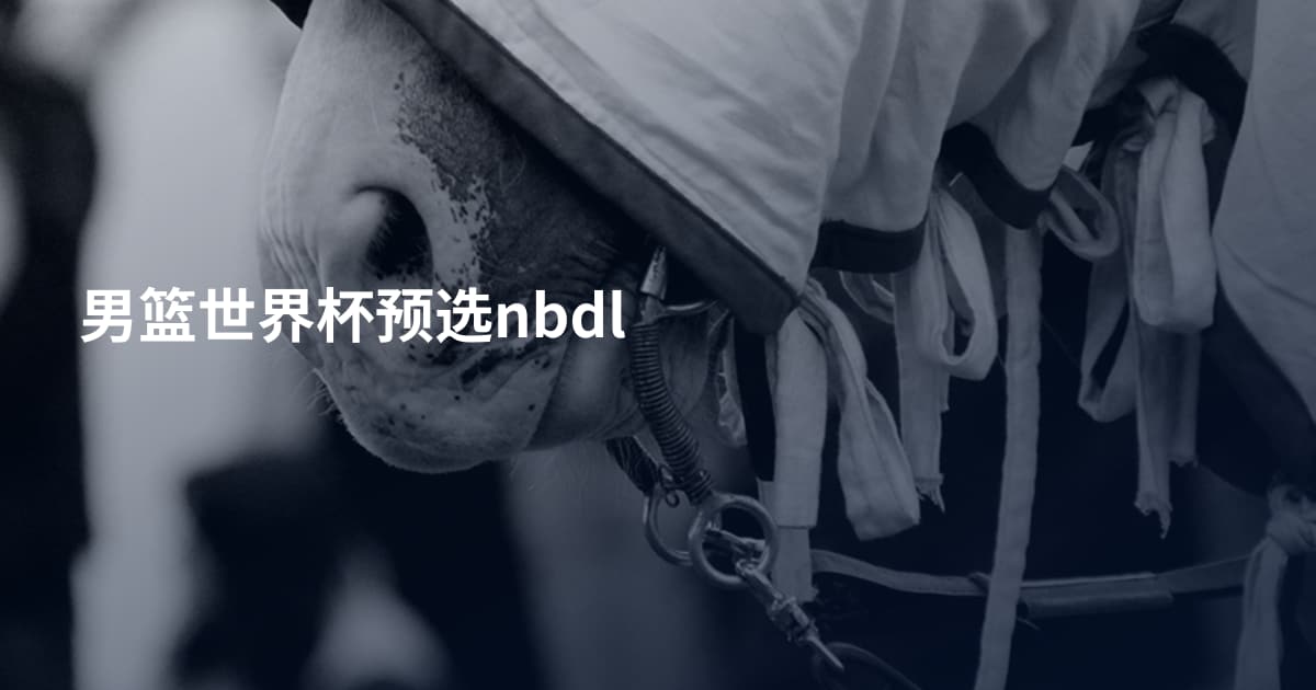 男篮世界杯预选nbdl