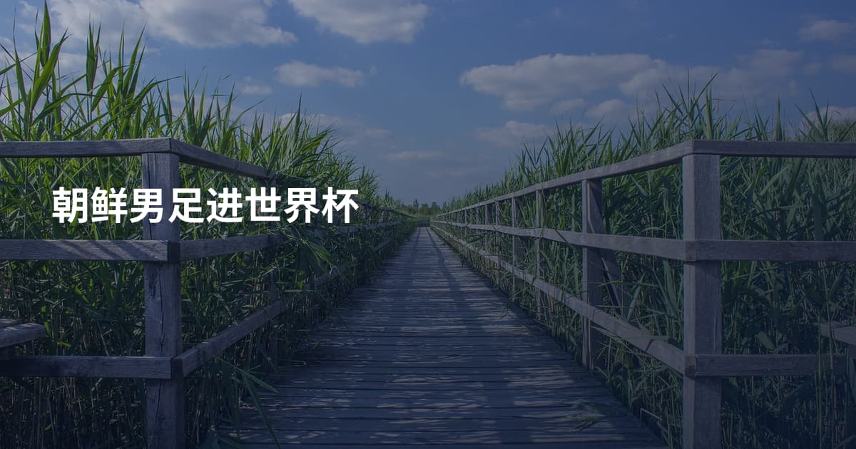 朝鲜男足进世界杯