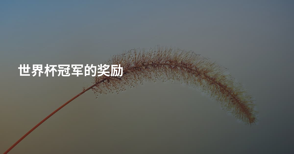 世界杯冠军的奖励