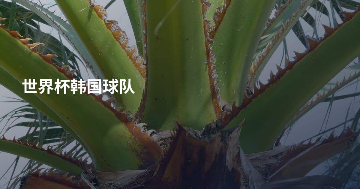 世界杯韩国球队