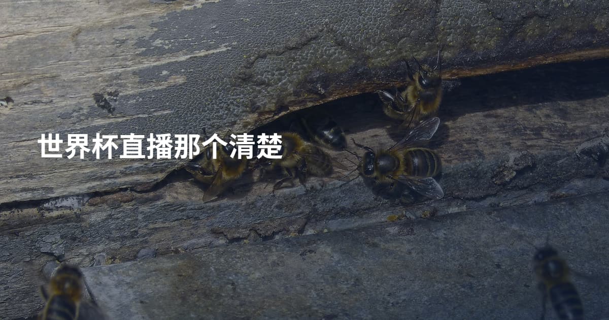世界杯直播那个清楚