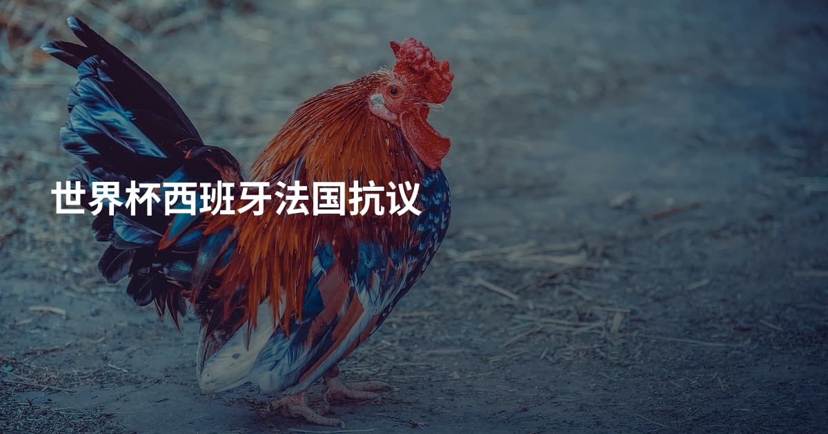 世界杯西班牙法国抗议