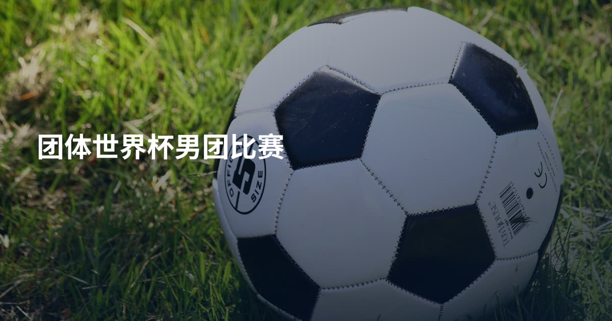 团体世界杯男团比赛