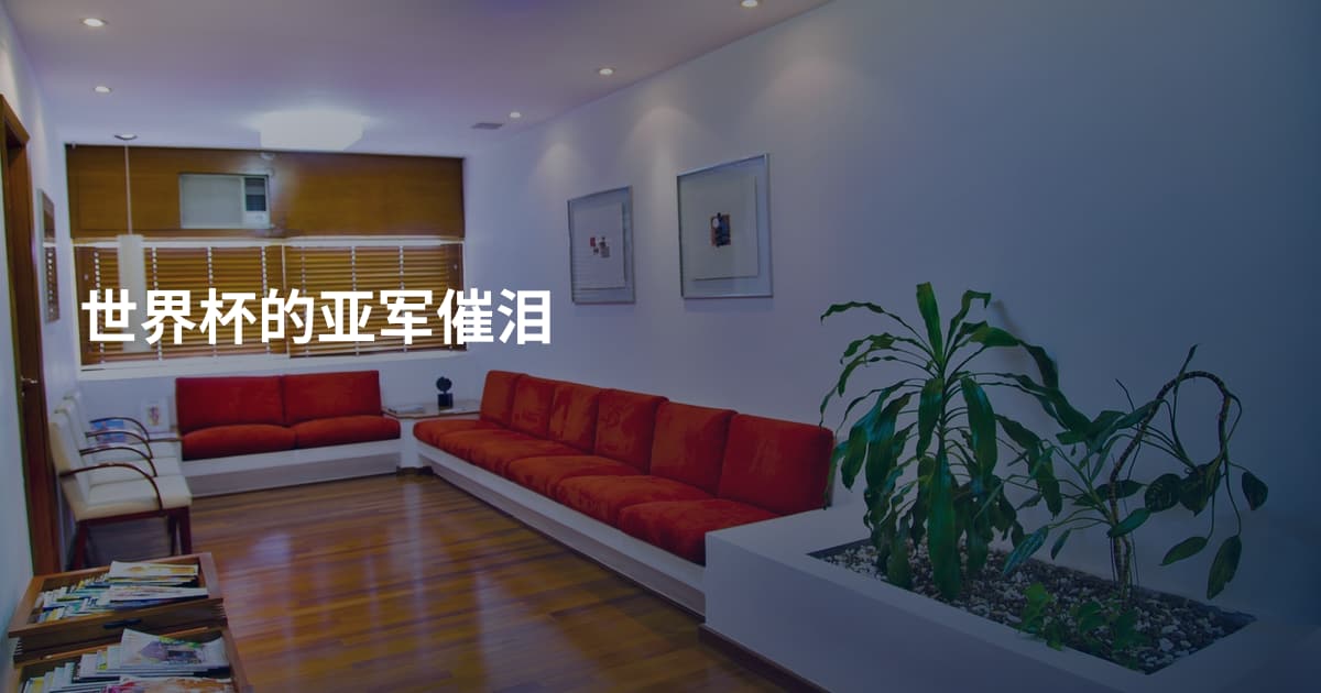 世界杯的亚军催泪