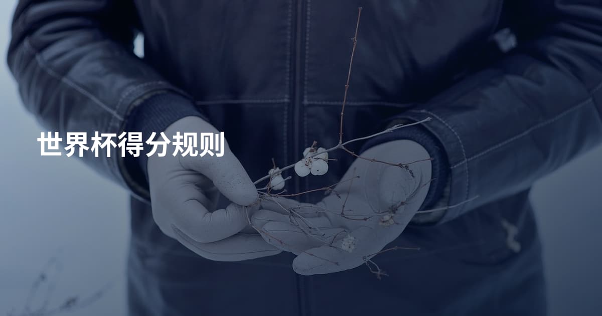 世界杯得分规则