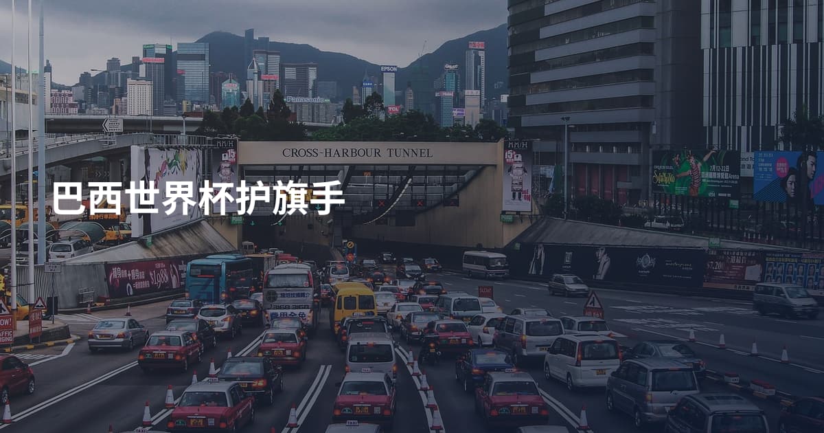 巴西世界杯护旗手