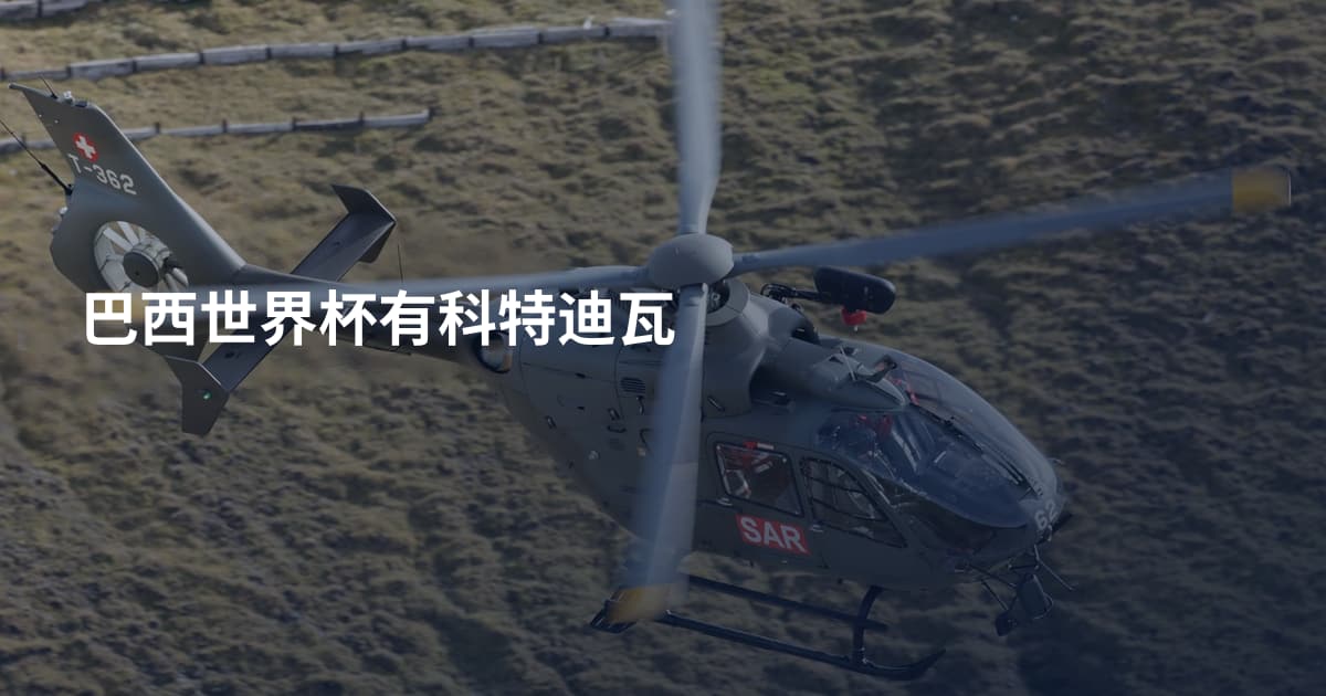 巴西世界杯有科特迪瓦