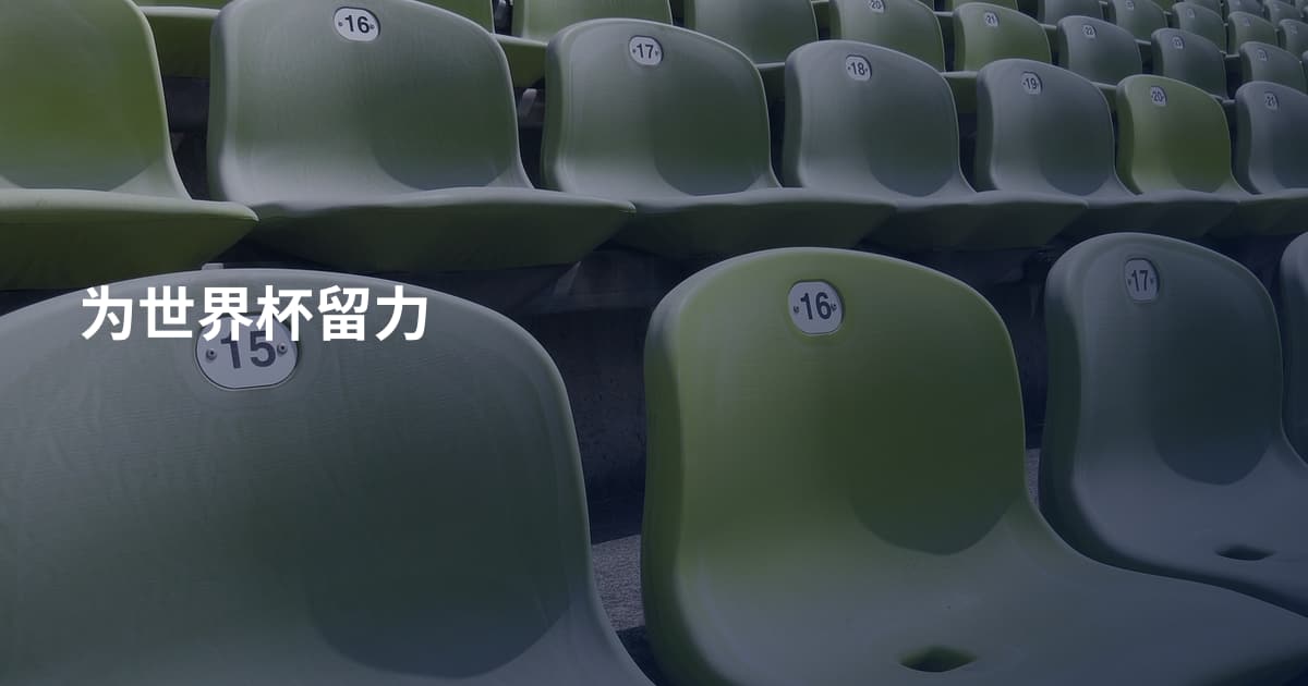 为世界杯留力