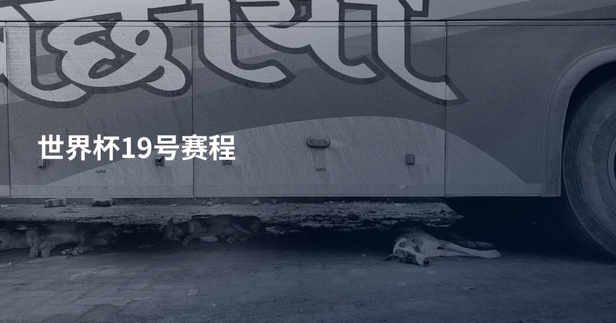 世界杯19号赛程