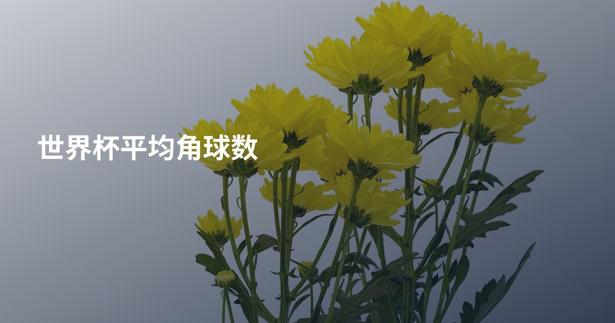 世界杯平均角球数