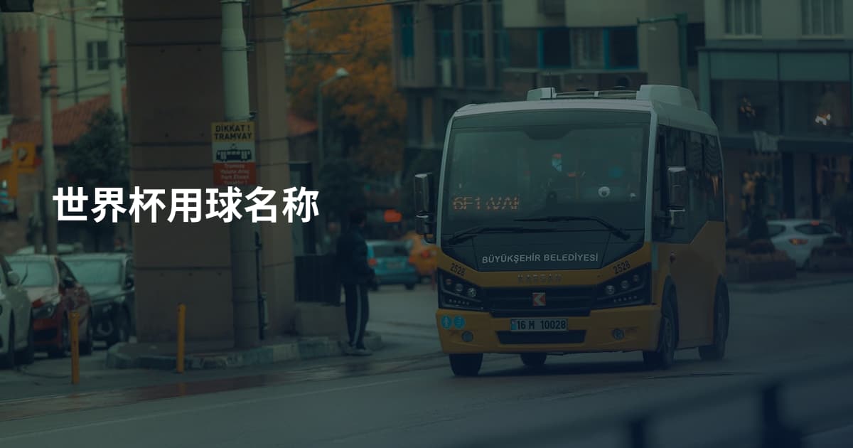 世界杯用球名称