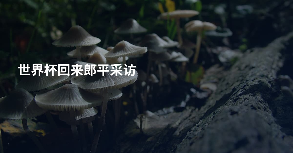 世界杯回来郎平采访