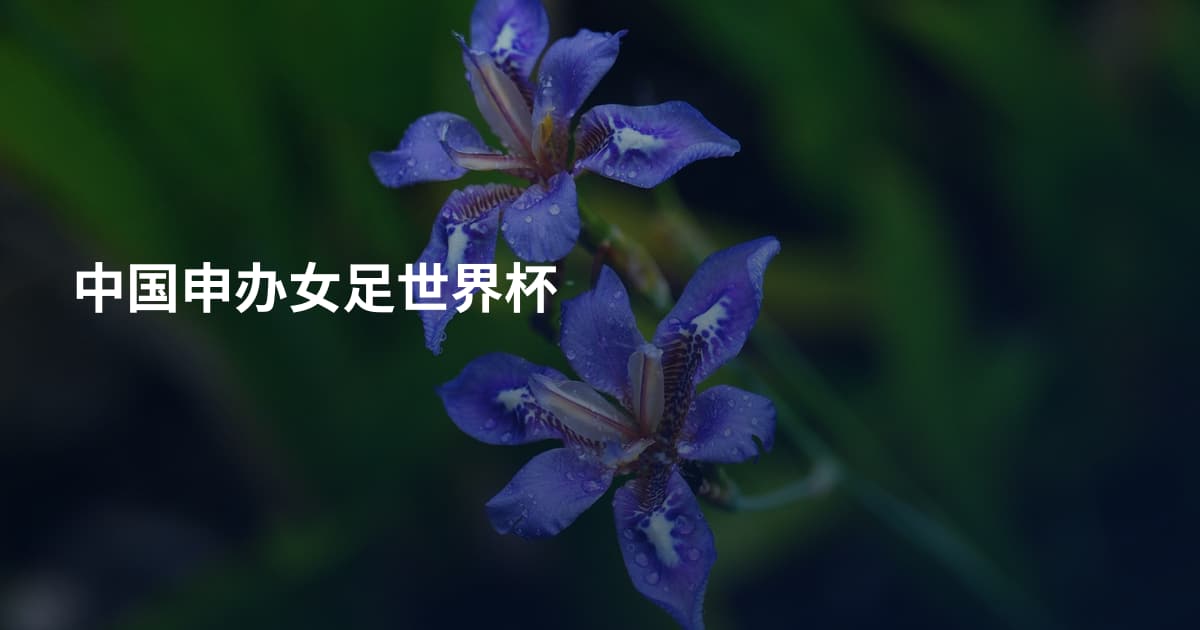 中国申办女足世界杯