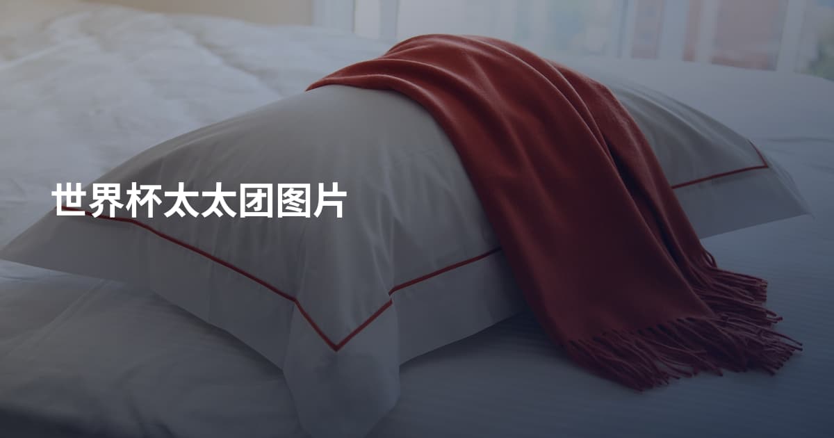 世界杯太太团图片