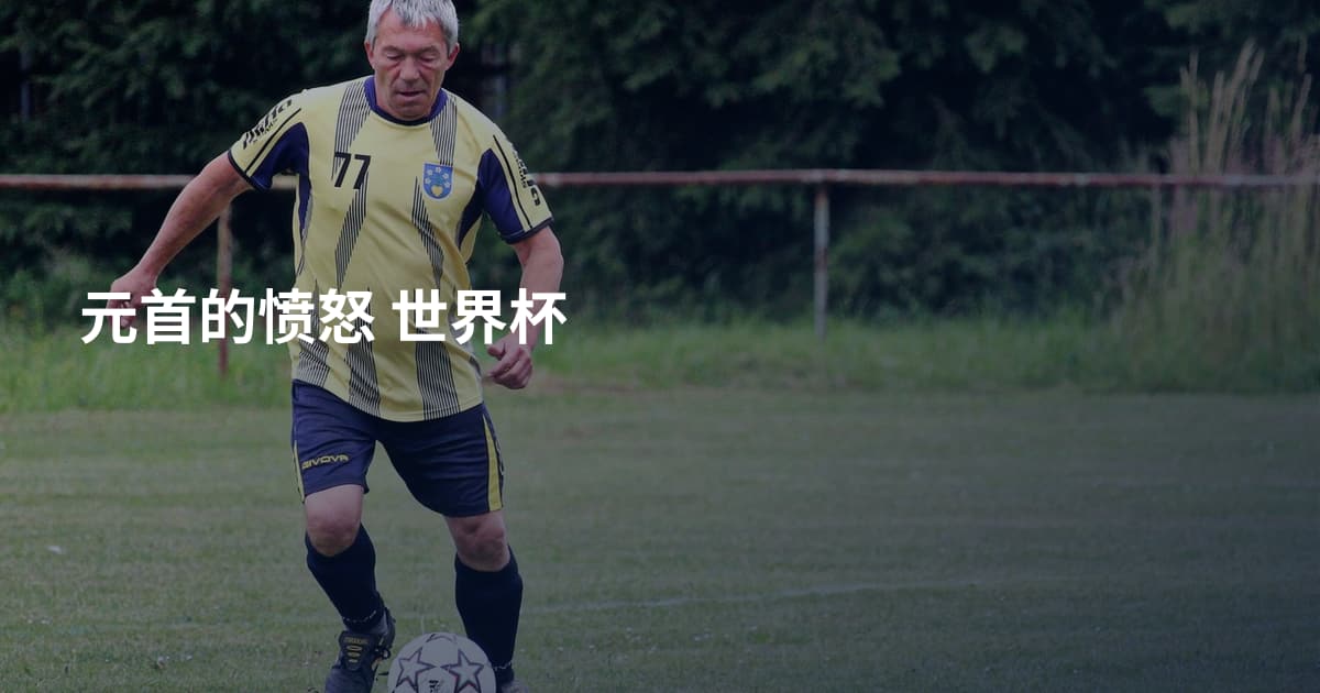 元首的愤怒 世界杯