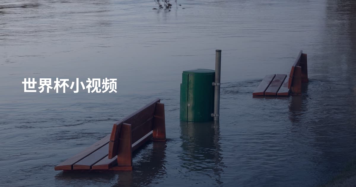 世界杯小视频
