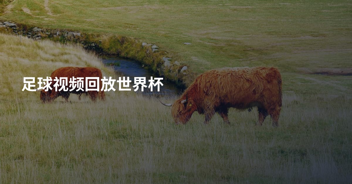 足球视频回放世界杯