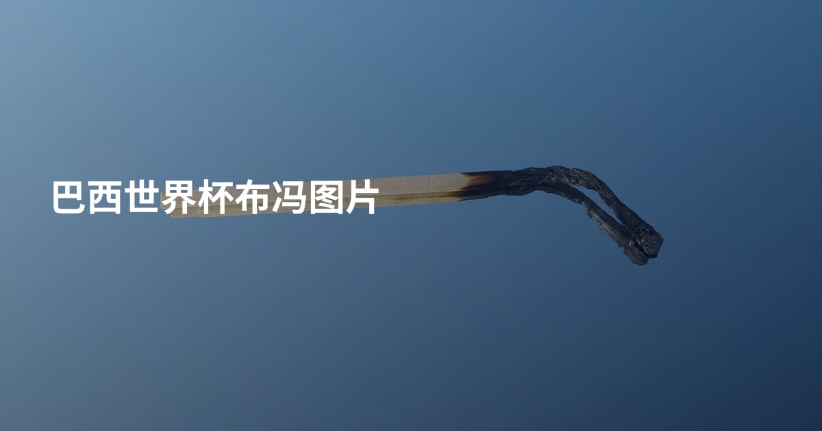 巴西世界杯布冯图片