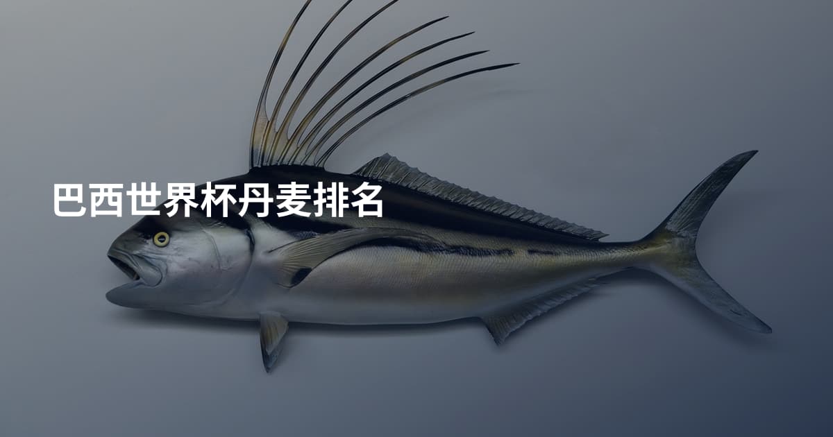 巴西世界杯丹麦排名