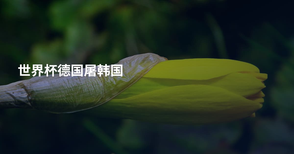 世界杯德国屠韩国