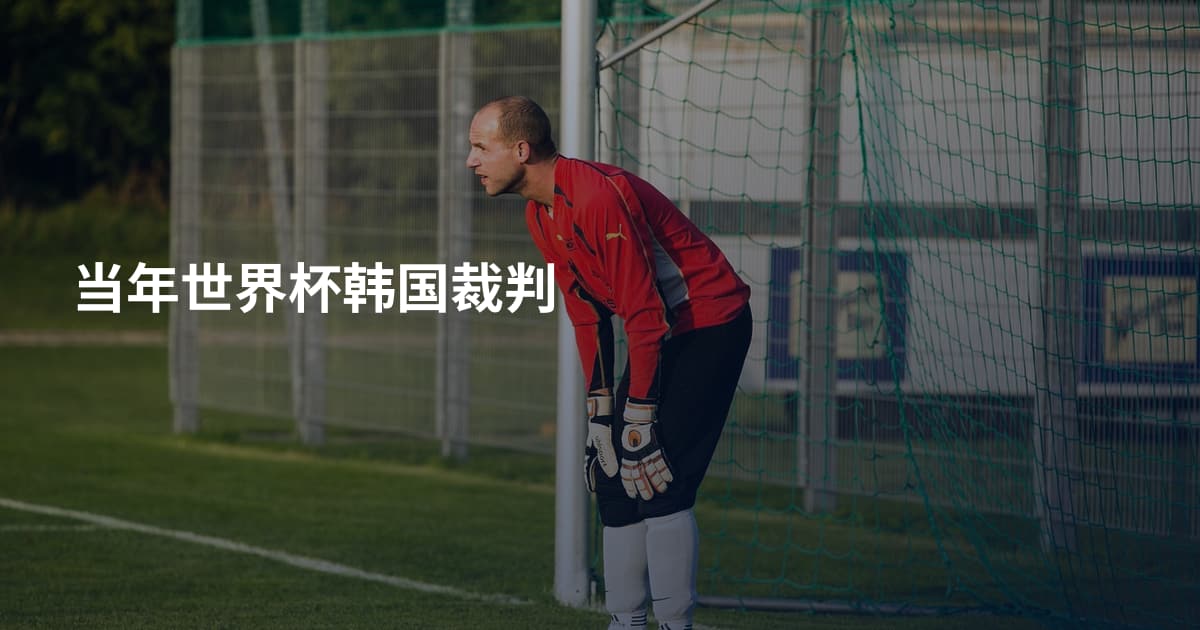 当年世界杯韩国裁判