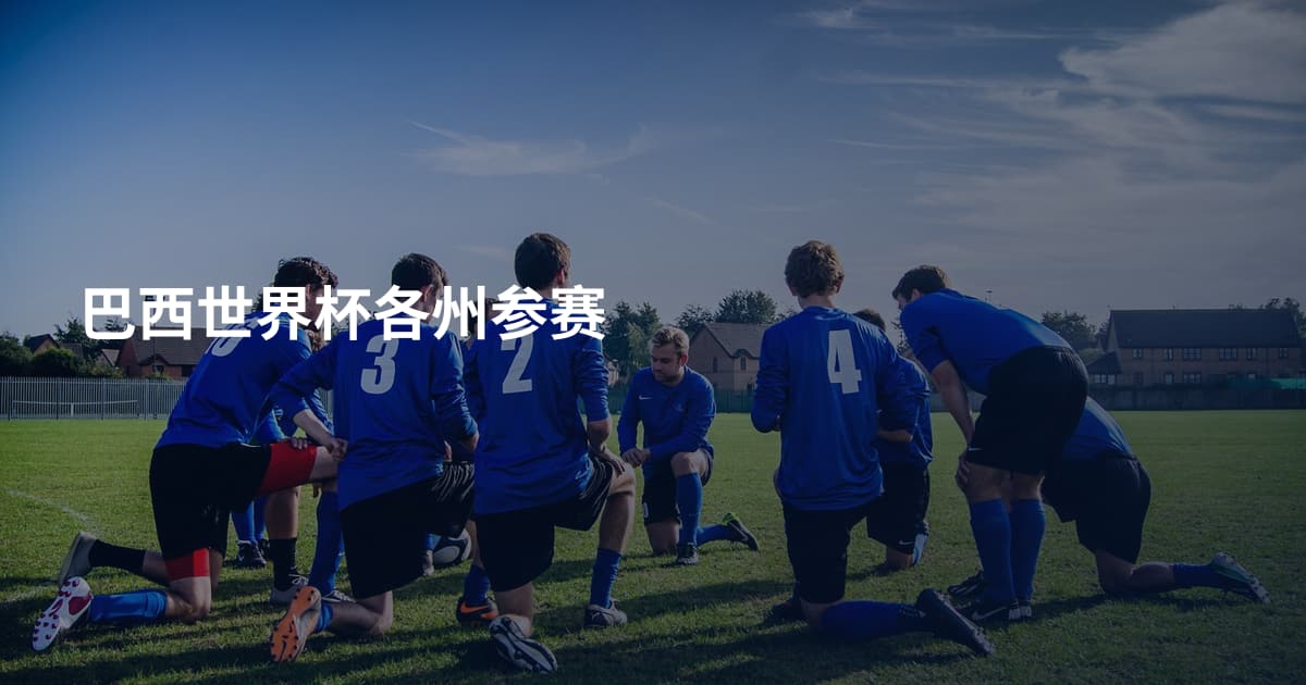 巴西世界杯各州参赛