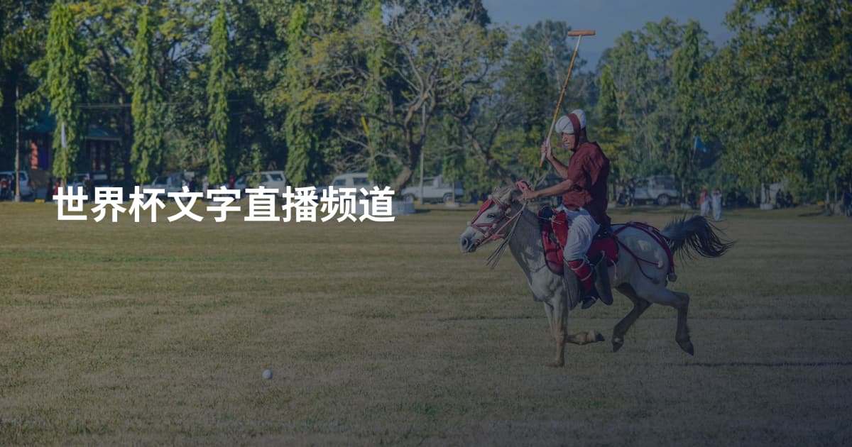 世界杯文字直播频道