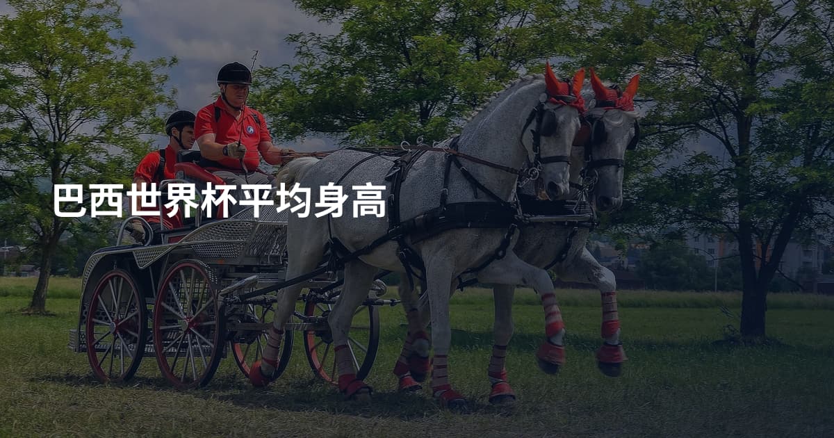巴西世界杯平均身高