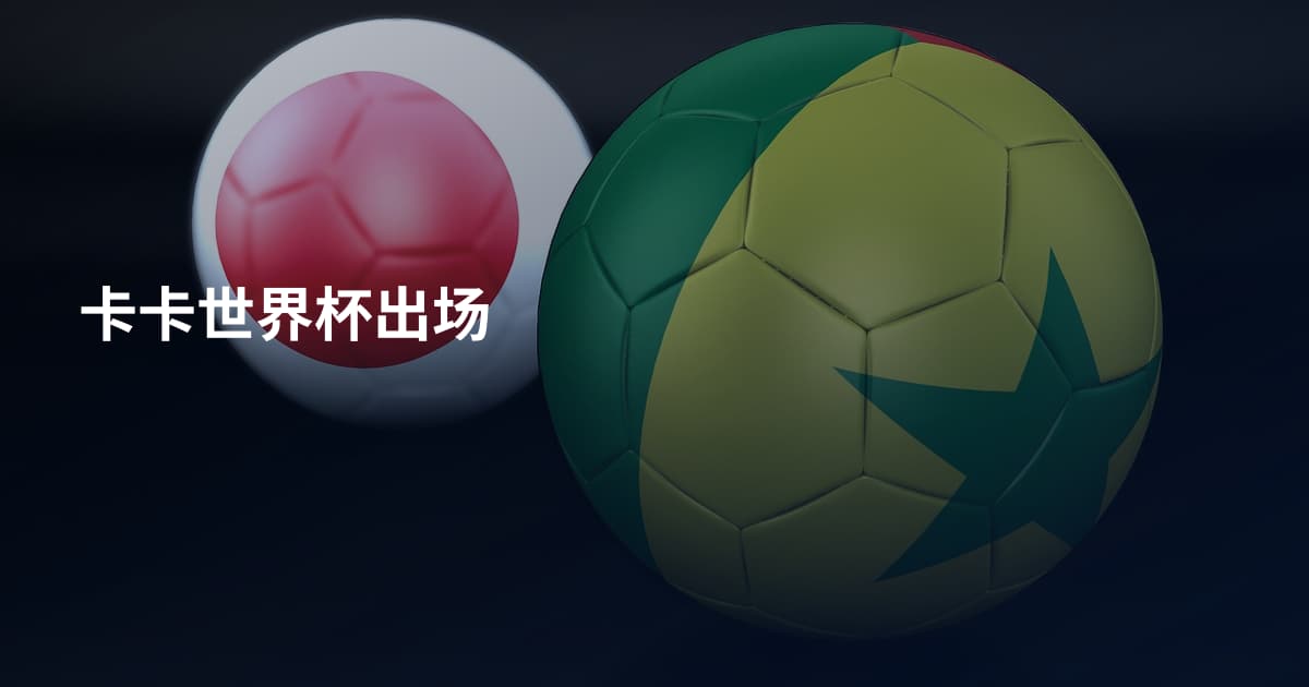 卡卡世界杯出场