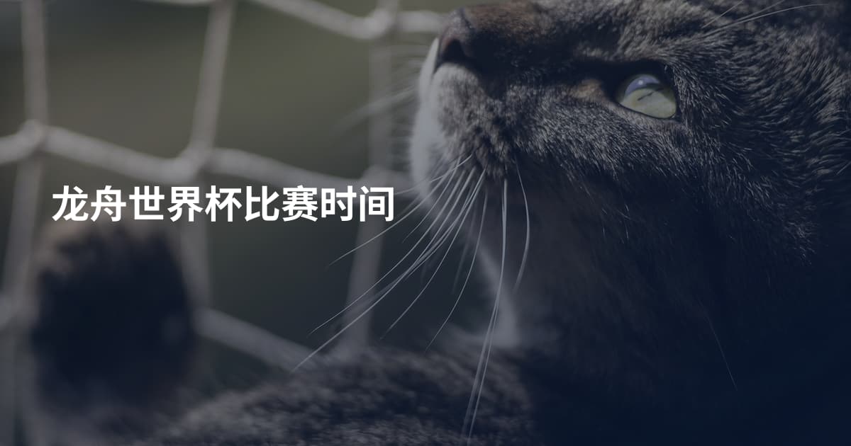 龙舟世界杯比赛时间