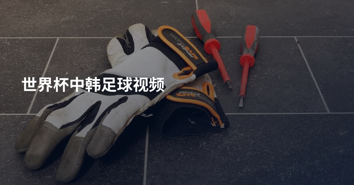 世界杯中韩足球视频