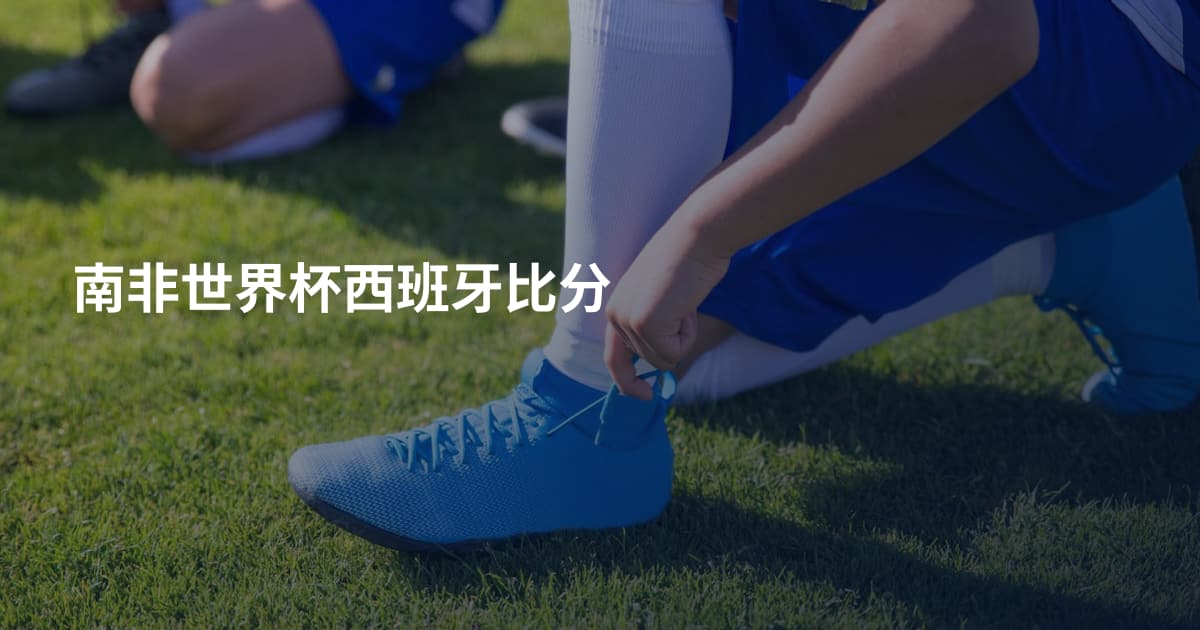 南非世界杯西班牙比分