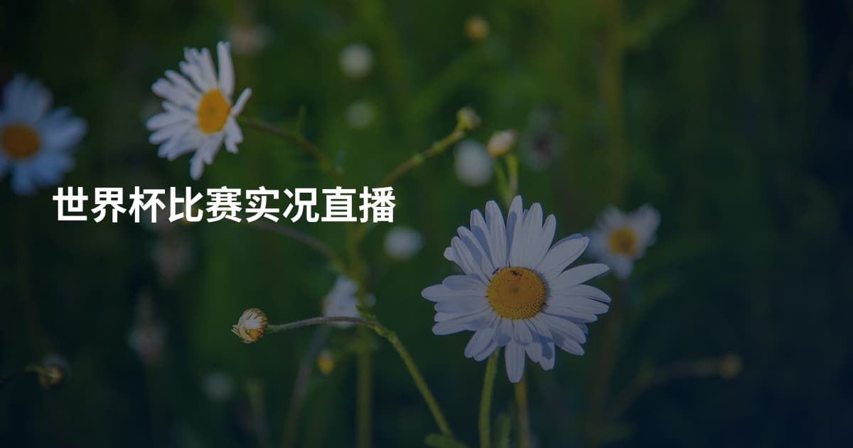 世界杯比赛实况直播