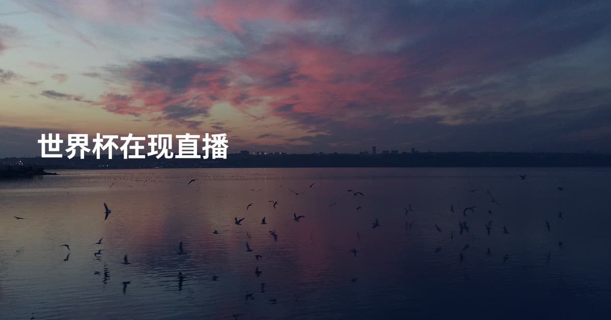 世界杯在现直播