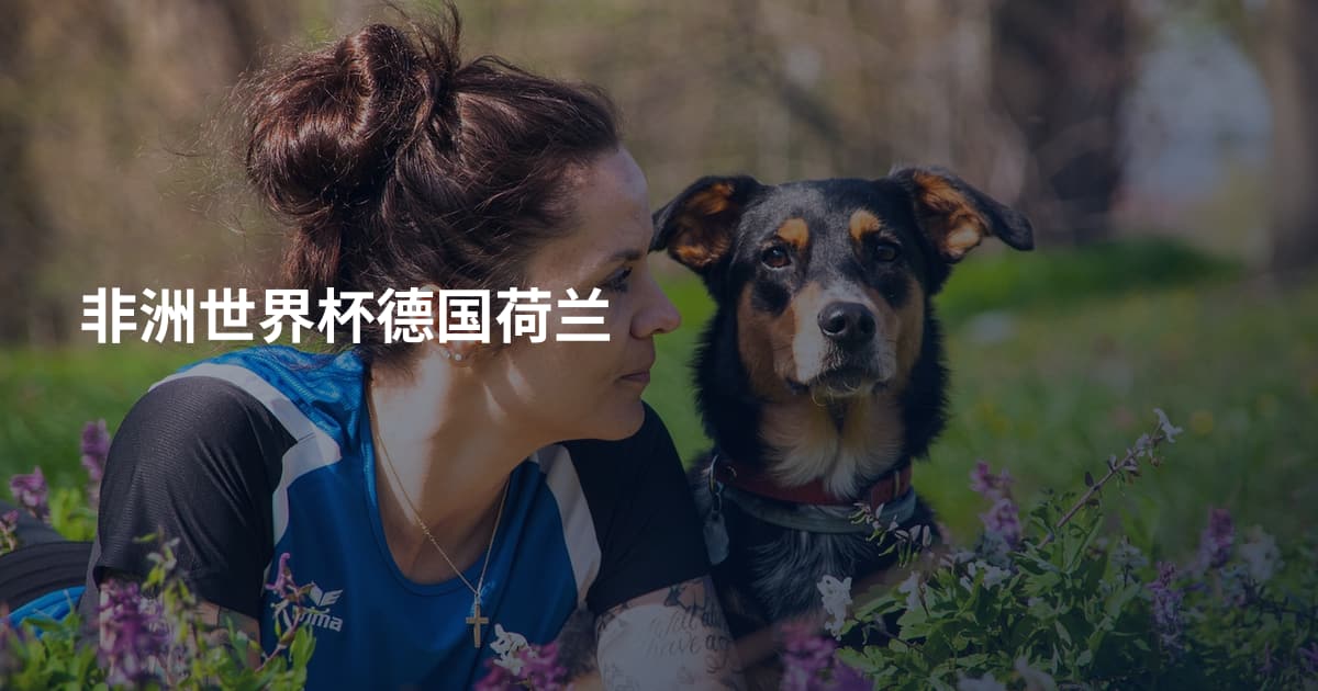 非洲世界杯德国荷兰