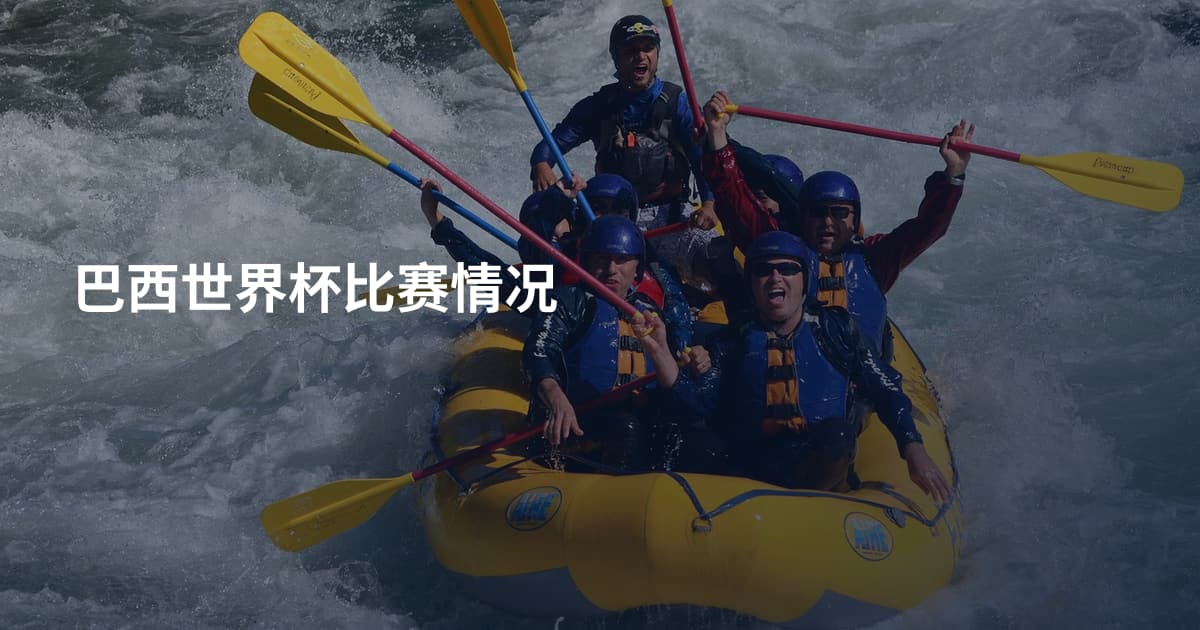 巴西世界杯比赛情况
