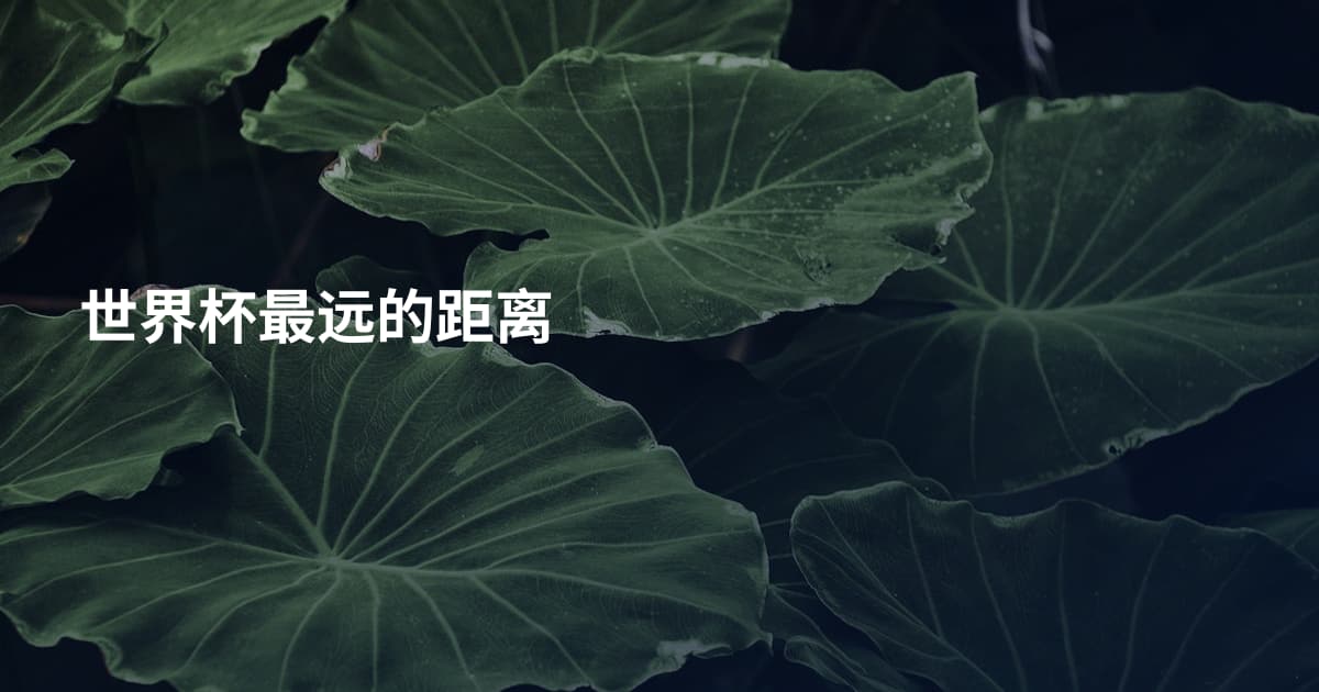 世界杯最远的距离