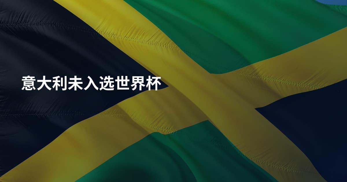 意大利未入选世界杯