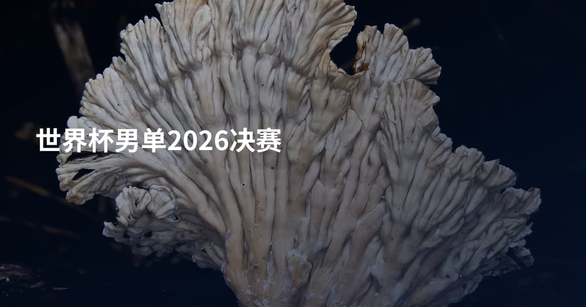 世界杯男单2026决赛
