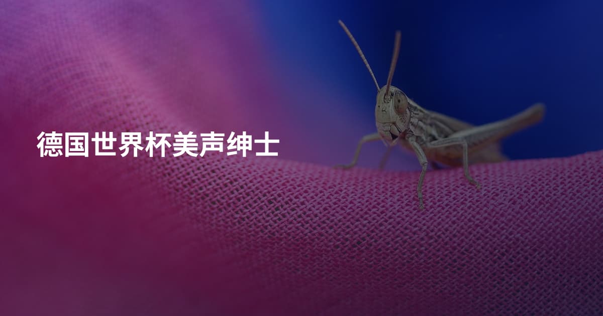 德国世界杯美声绅士